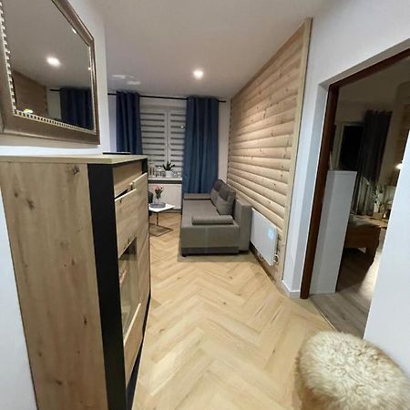 Expo Krupowki 60 Apartment ザコパネ エクステリア 写真