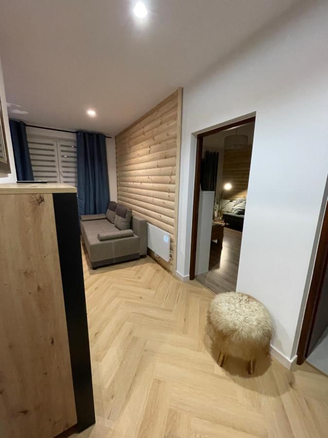 Expo Krupowki 60 Apartment ザコパネ エクステリア 写真