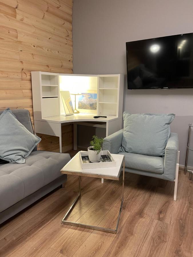 Expo Krupowki 60 Apartment ザコパネ エクステリア 写真