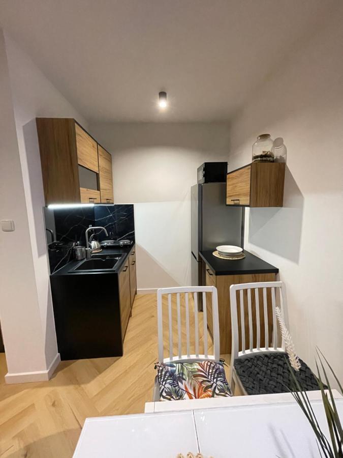Expo Krupowki 60 Apartment ザコパネ エクステリア 写真