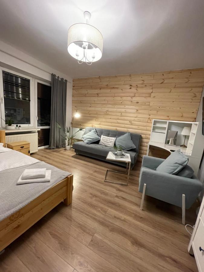 Expo Krupowki 60 Apartment ザコパネ エクステリア 写真