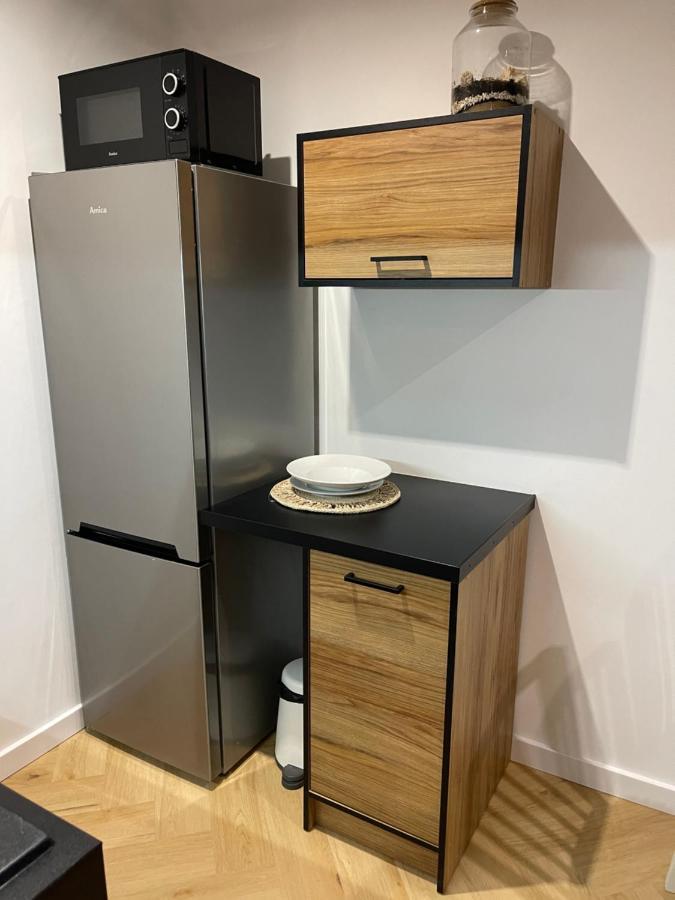Expo Krupowki 60 Apartment ザコパネ エクステリア 写真