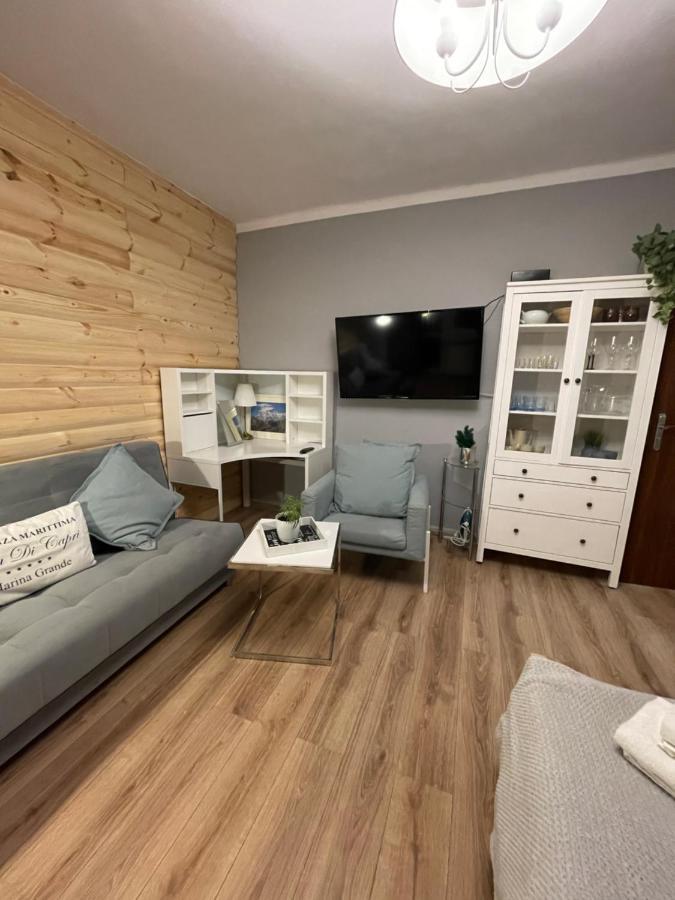 Expo Krupowki 60 Apartment ザコパネ エクステリア 写真