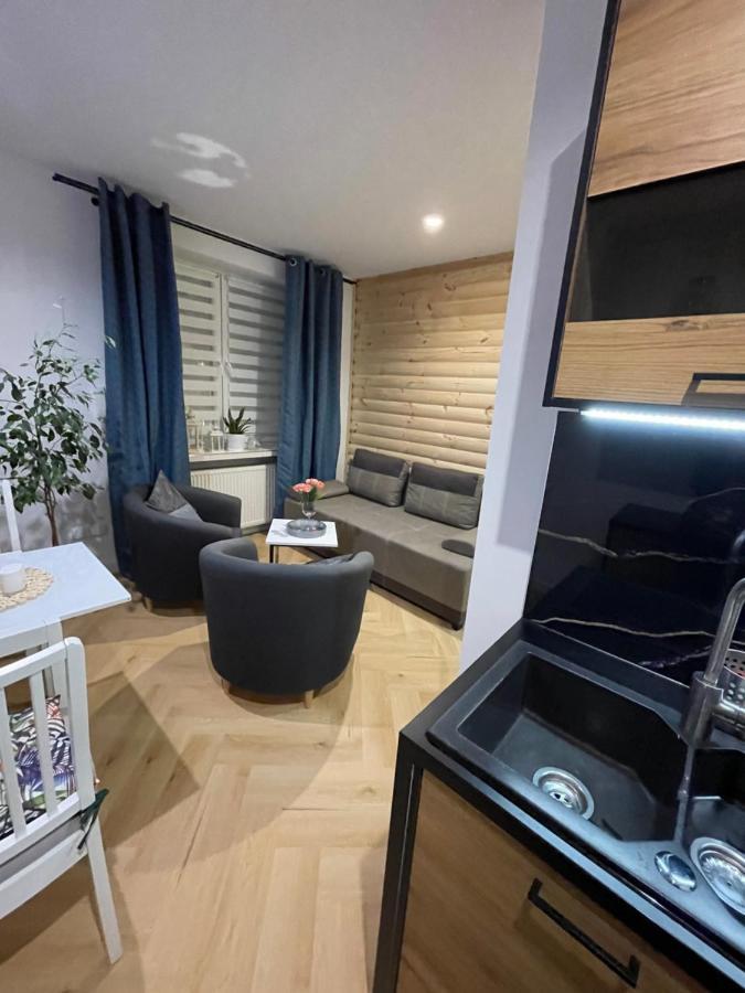 Expo Krupowki 60 Apartment ザコパネ エクステリア 写真